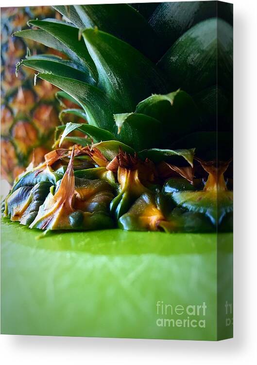Fruit Canvas Print featuring the photograph Pineapple #1 by Bri Lou