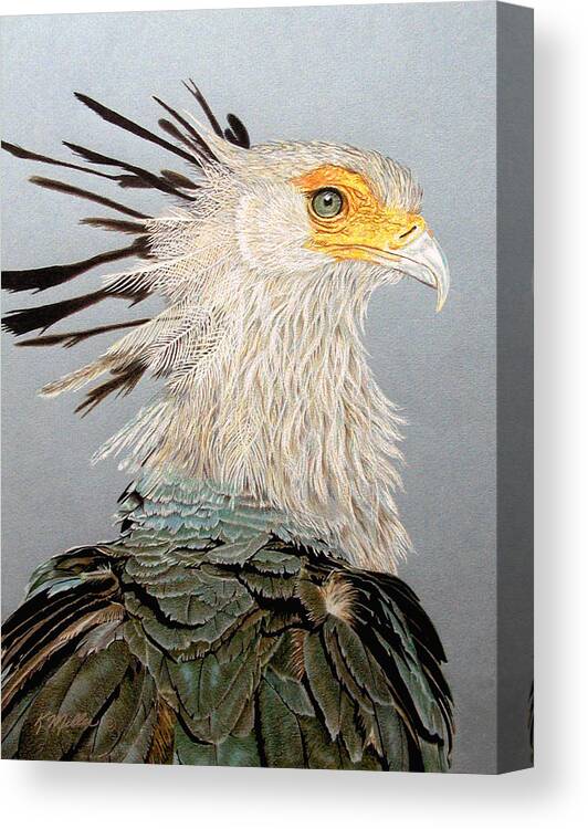 Bird Of Prey Canvas Print featuring the drawing Secretary Bird by Kathie Miller