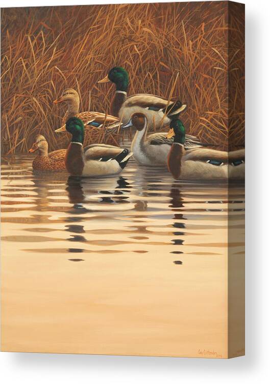 Mallards Canvas Print featuring the painting Very First Light by Guy Crittenden