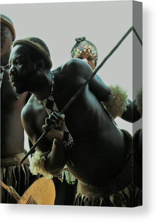 Zulu Man Canvas Print featuring the photograph Zulu Warrior #1 by Vijay Sharon Govender