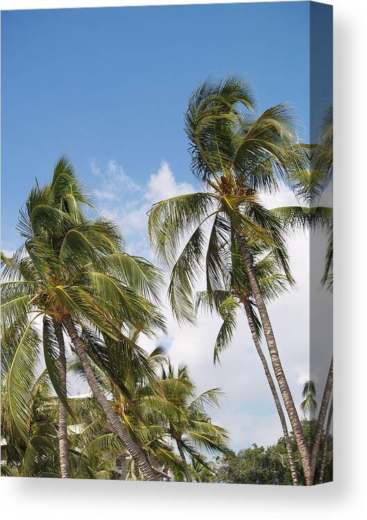  Tropical Canvas Print featuring the photograph Hawaiian Breeze #2 by Athala Bruckner