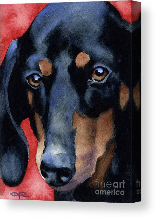 Dachshund Canvas Print featuring the painting Dachshund #2 by David Rogers