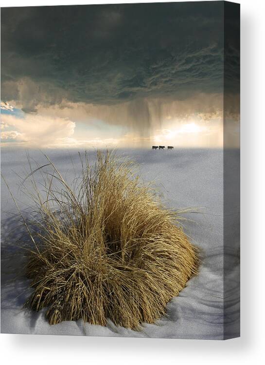 Animals Canvas Print featuring the photograph 4120 by Peter Holme III