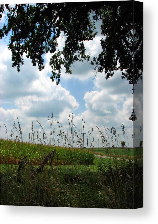 Country Scene Canvas Print featuring the photograph A Beautiful Day by Joanne Coyle