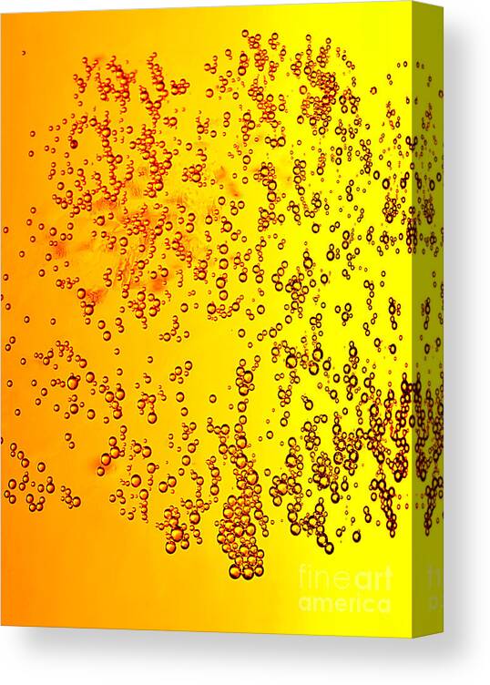 Alcoholic Drink Canvas Print featuring the photograph Abstract beer background by Anna Om