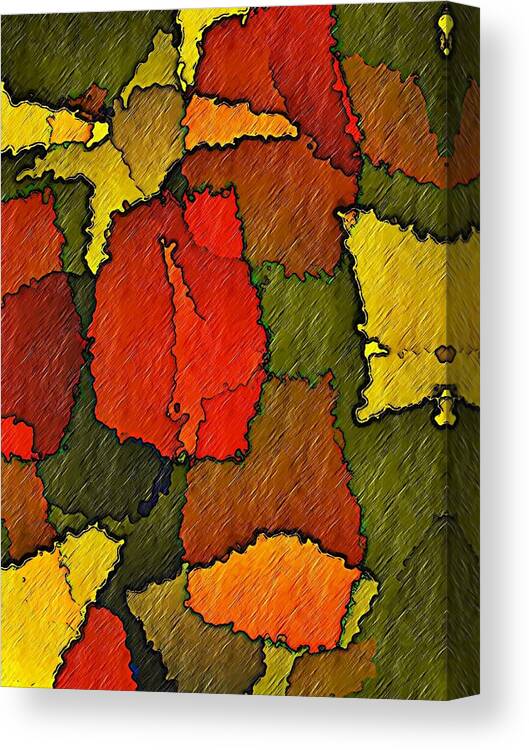 Abstract Canvas Print featuring the digital art Abstract Bloom by Terry Mulligan