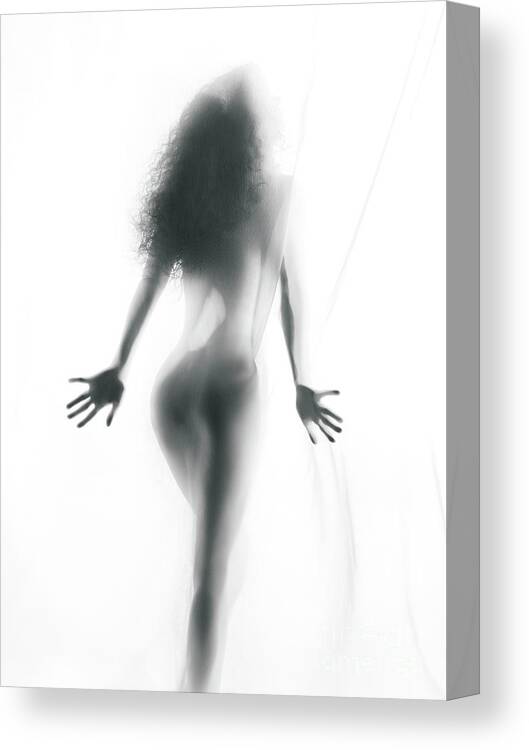Sensual Canvas Print featuring the photograph Abstract sensual woman silhouette behind white sheer curtain by Maxim Images Exquisite Prints