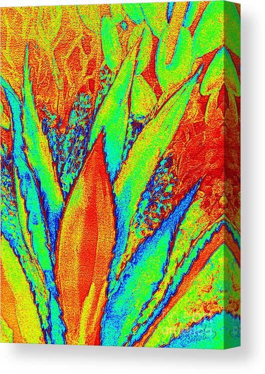 Agave Canvas Print featuring the painting Agave by Summer Celeste