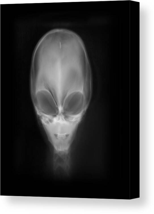 Alien Canvas Print featuring the digital art Alien X-ray by Gravityx9 Designs