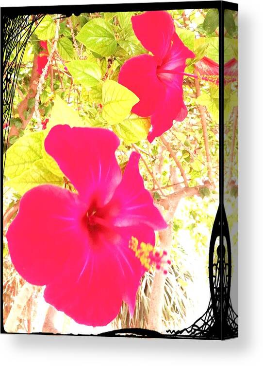 Flower Canvas Print featuring the digital art Almeria flowers by Alicia Guerrero