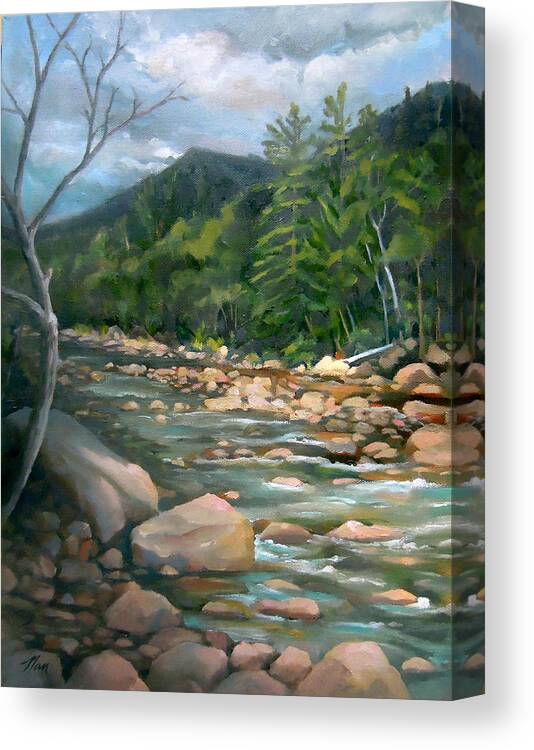 White Mountain Art Canvas Print featuring the painting Along the Pemi by Nancy Griswold
