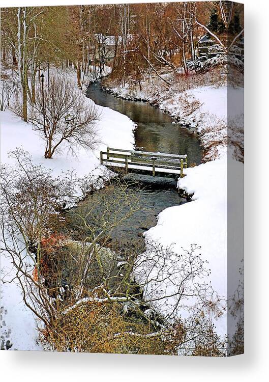 Town Brook Canvas Print featuring the photograph Along Town Brook Plymouth MA by Janice Drew