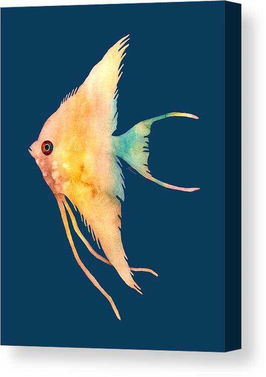 Fish Canvas Print featuring the painting Angelfish II - solid background by Hailey E Herrera
