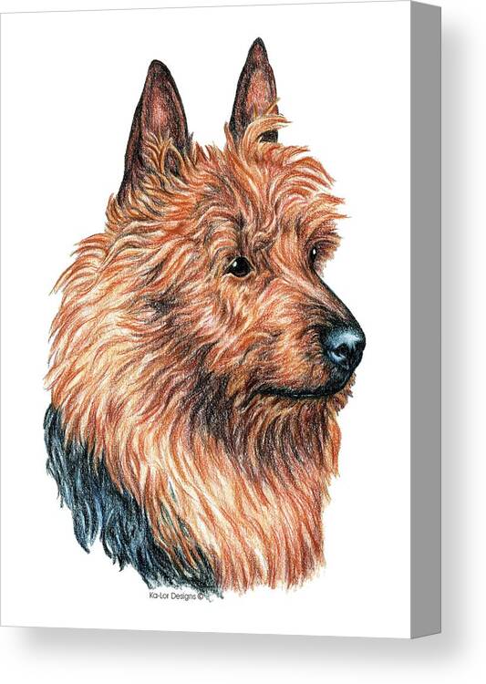 Aussie Canvas Print featuring the drawing Australian Terrier by Kathleen Sepulveda