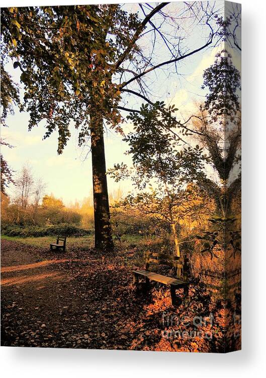 Landscape Canvas Print featuring the photograph Autumn bench wood by Heidi De Leeuw
