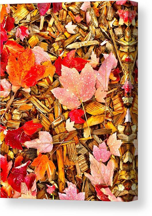 Dew Drops Canvas Print featuring the photograph Autumn Potpourri by Brad Hodges