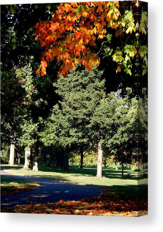 Autumn Canvas Print featuring the photograph Autumn Sneaks In by Wild Thing
