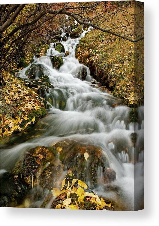 Water Canvas Print featuring the photograph Autumn Waterfall by Scott Read