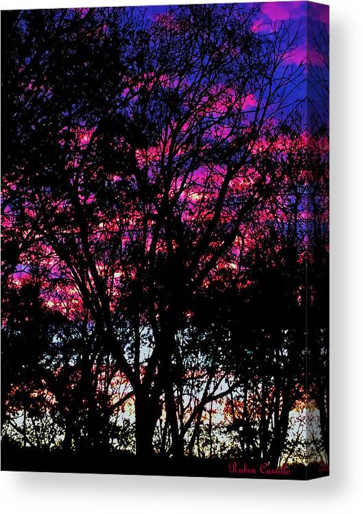 Sunset Canvas Print featuring the photograph Back Yard Sunset by Ruben Carrillo