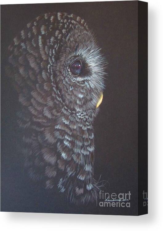 Barred Owl Canvas Print featuring the drawing Barred Owl 2 by Laurianna Taylor