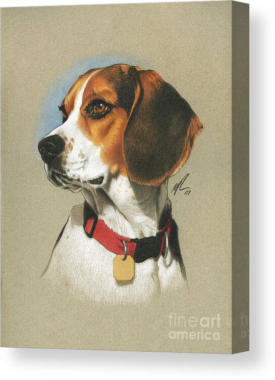 Pet Canvas Print featuring the painting Beagle by Marshall Robinson