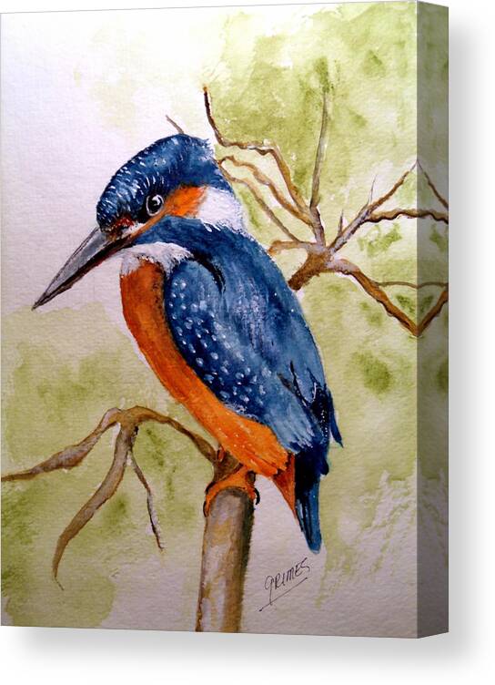 Bird Canvas Print featuring the painting Beautiful Kingfisher by Carol Grimes