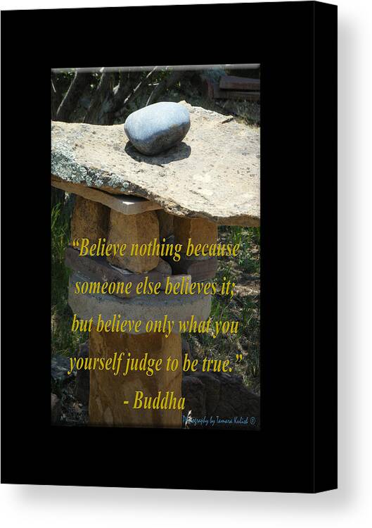 Rock Canvas Print featuring the photograph Believe Nothing Because Someone Else Believes It by Tamara Kulish