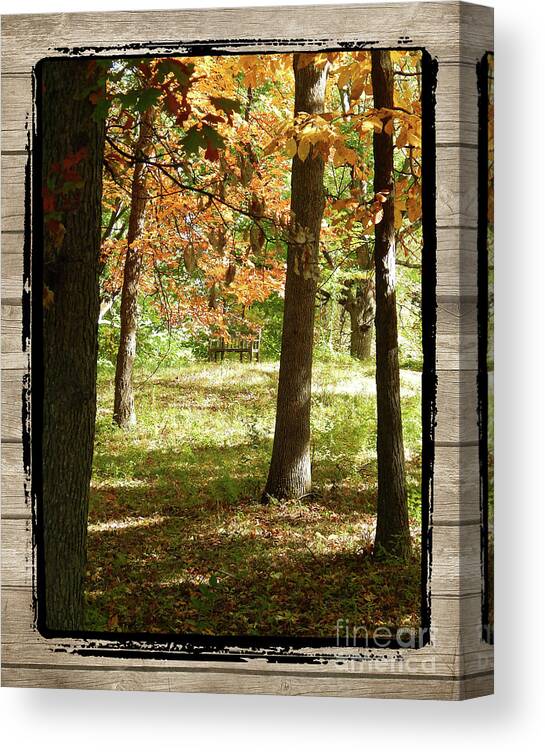 Ann Arbor Canvas Print featuring the photograph Bench In The Woods by Phil Perkins