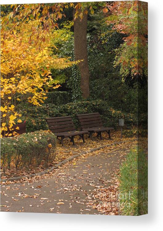 Bench Canvas Print featuring the photograph Benches in the Park by Eena Bo