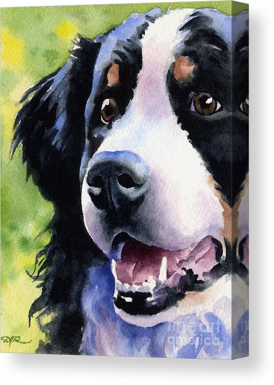 Bernese Canvas Print featuring the painting Bernese Mountain Dog by David Rogers