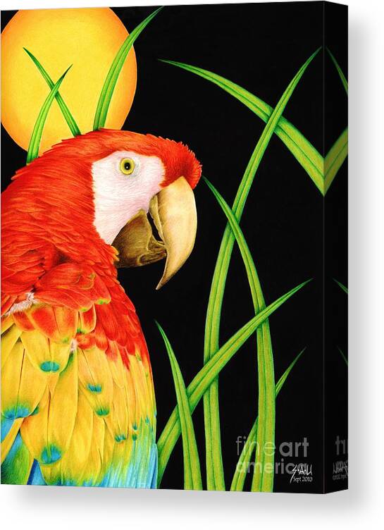 Macaw Canvas Print featuring the drawing Bird in Paradise by Sheryl Unwin