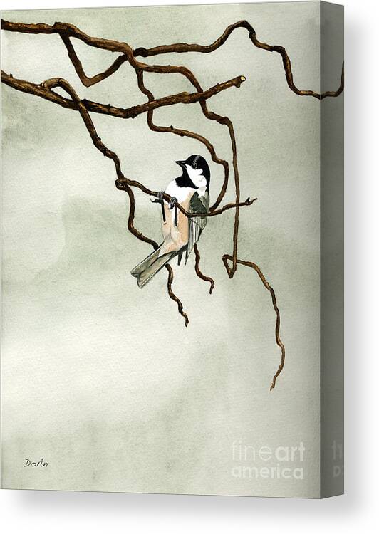 Black Capped Chickadee Canvas Print featuring the painting Black Capped Chickadee by Antony Galbraith