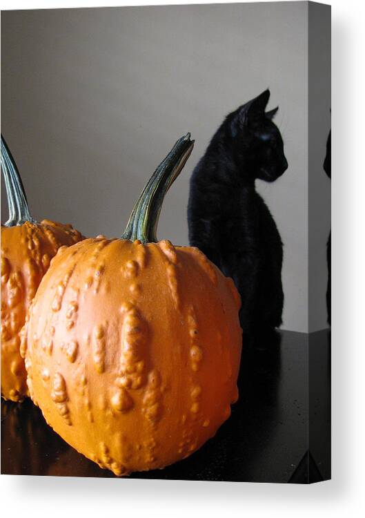 Pumpkins Canvas Print featuring the photograph Black Cat Silhouette by Lindie Racz