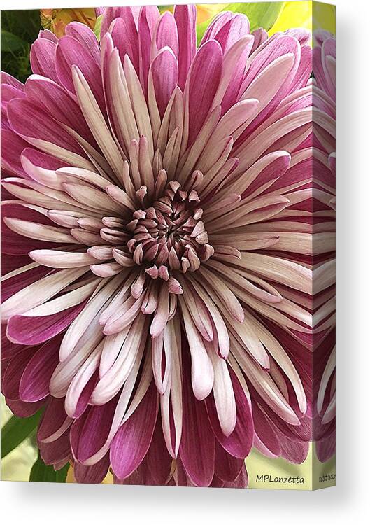 Bloom Canvas Print featuring the photograph Bloom of Pink by Marian Lonzetta
