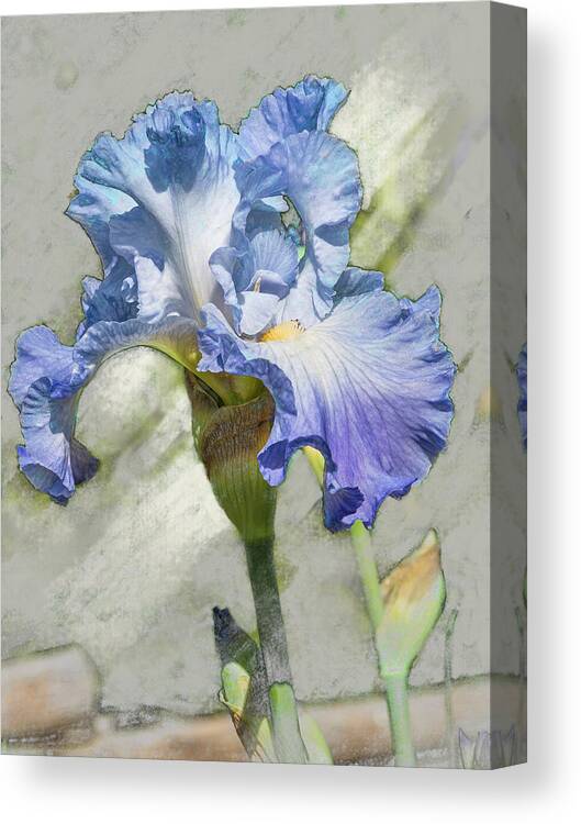5dmkiv Canvas Print featuring the digital art Blue Iris 2 by Mark Mille