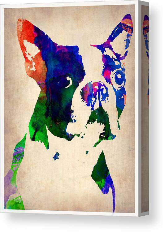 Boston Terrier Canvas Print featuring the painting Boston Terrier Watercolor by Naxart Studio