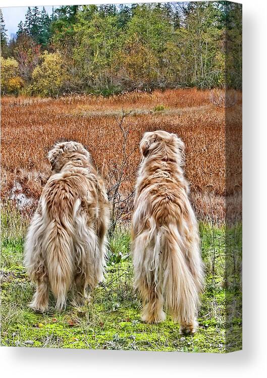 Nature Canvas Print featuring the photograph Buddies by Rhonda McDougall