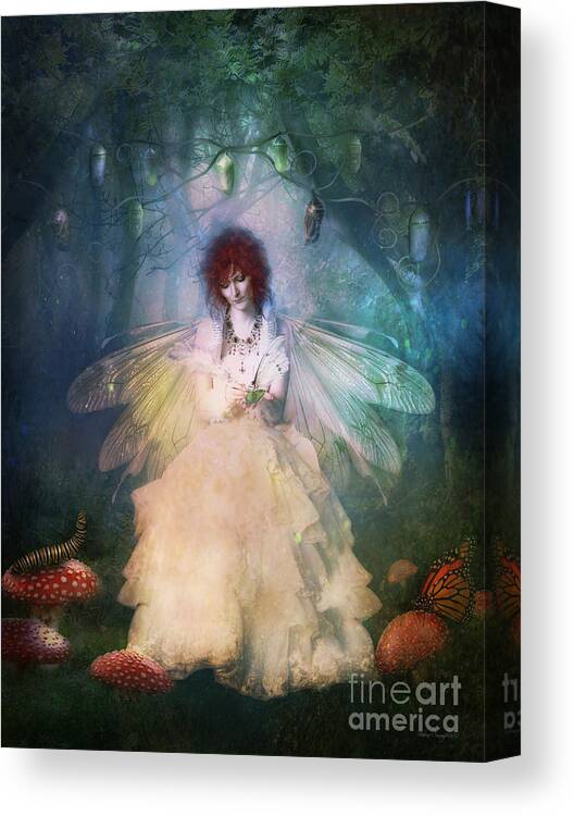 Butterflies Canvas Print featuring the digital art Butterfly Painter by Shanina Conway