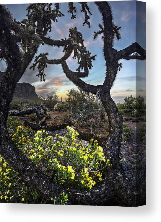 Cactus Canvas Print featuring the photograph Cactus Framed Sunset vertical by Dave Dilli