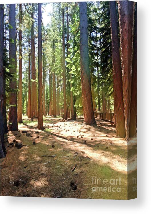 Woods Canvas Print featuring the digital art California Woods by Jackie MacNair