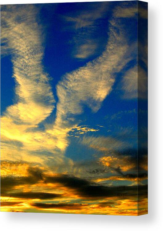 Sky Canvas Print featuring the photograph Call to the sky by Leela Arnet