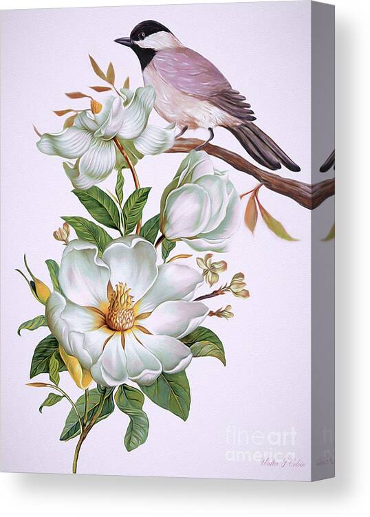 Carolina Chickadee Canvas Print featuring the digital art Carolina Chickadee and Magnolia Flower by Walter Colvin