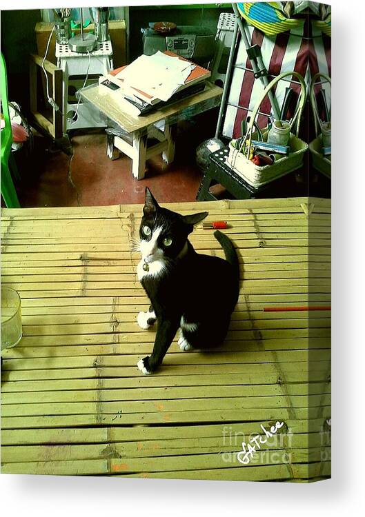 Cat Canvas Print featuring the photograph Cat on A Bamboo Litter by Sukalya Chearanantana