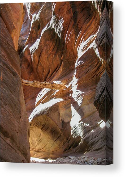 Utah Canvas Print featuring the photograph Caught in a slot by Gaelyn Olmsted