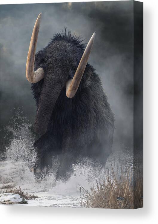 Charging Mammoth Canvas Print featuring the photograph Charging Mammoth by Daniel Eskridge