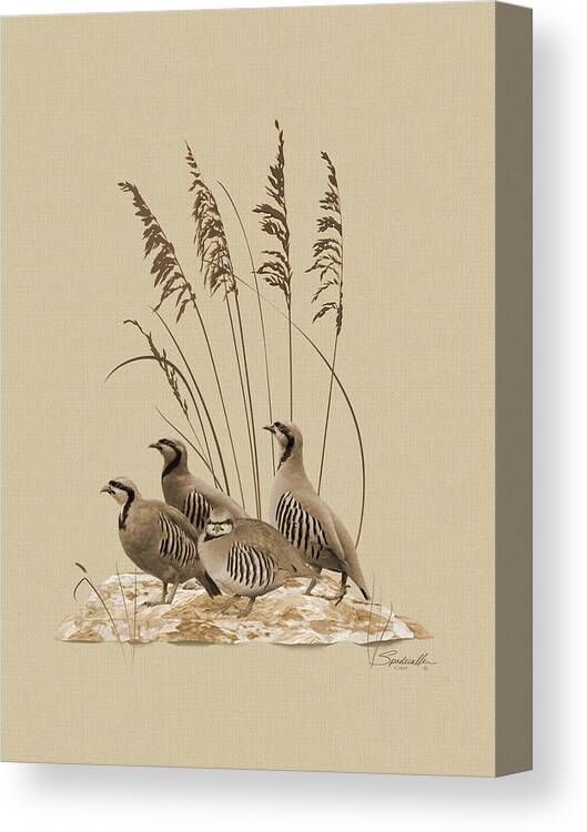 Partridge Canvas Print featuring the digital art Chukar Partridges by M Spadecaller