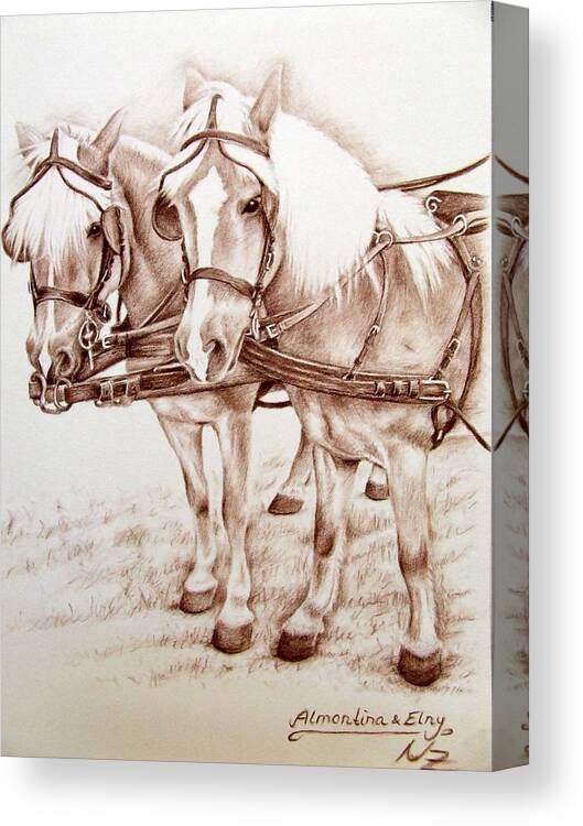 Horses Canvas Print featuring the drawing Coach Horses by Nicole Zeug