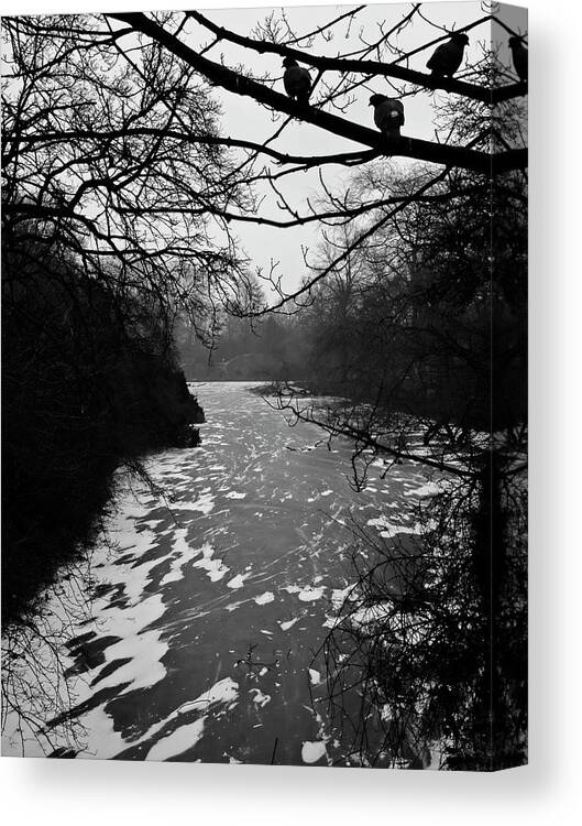 Cold Canvas Print featuring the photograph Cold by Inge Riis McDonald