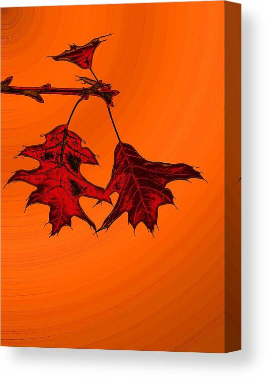 Autumn Canvas Print featuring the digital art Color Me Autumn 2 by Tim Allen