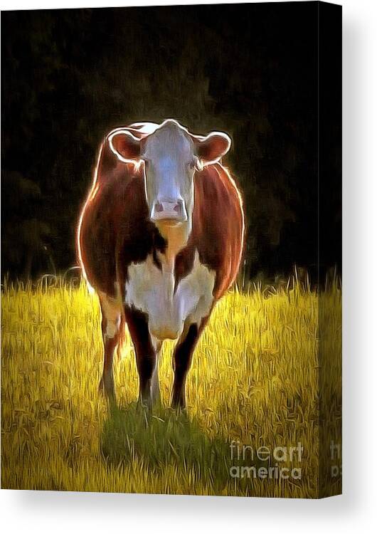 Cow Canvas Print featuring the photograph Cow in a field by Janine Riley